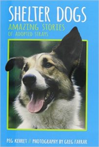 Shelter Dogs - Amazing Stories of Adopted Strays